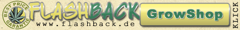 Flashback Banner
