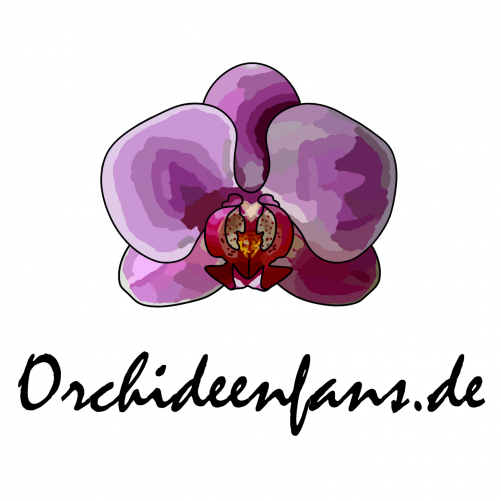 design of laoffermann