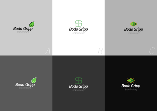 design of Kingrush Design