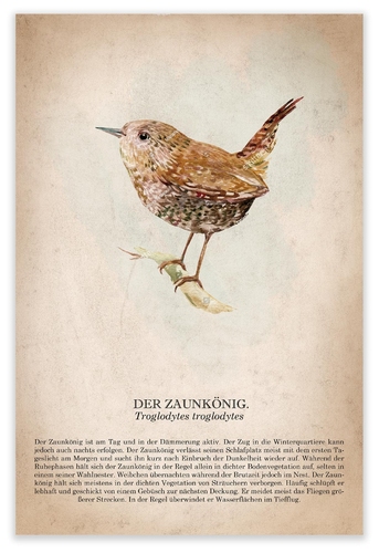 design of werbegrafik