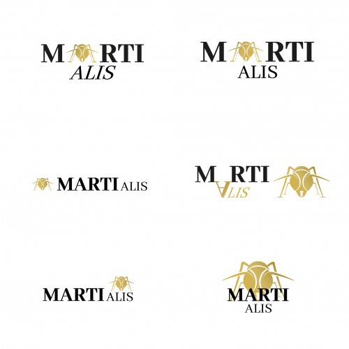  Logo-Design für Coaching, Management und Beratung