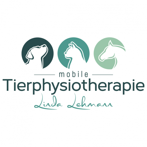  Logo-Design für Tierphysiotherapie