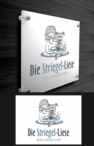design of Spirit