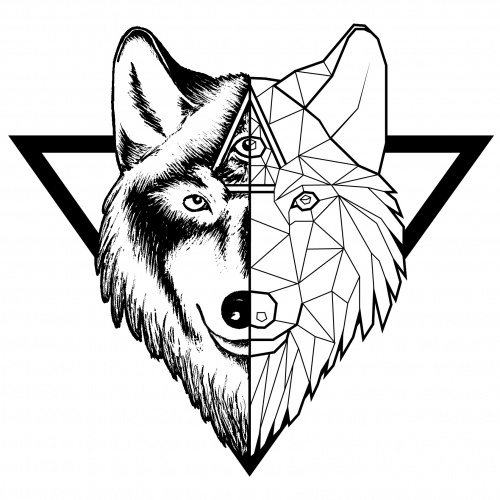 design of Nasti