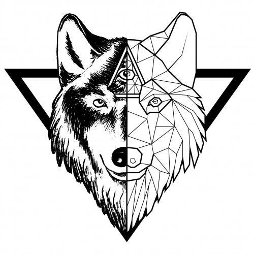 design of Nasti