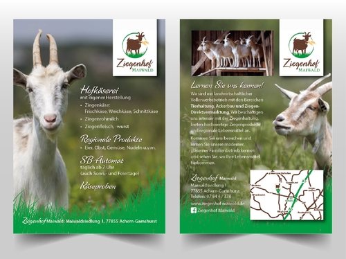 design of Katzer Grafik