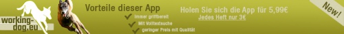 design of Pixelschubserto