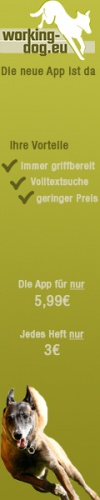 design of Pixelschubserto