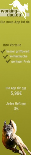 design of Pixelschubserto