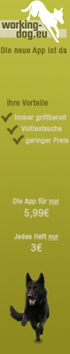 design of Pixelschubserto