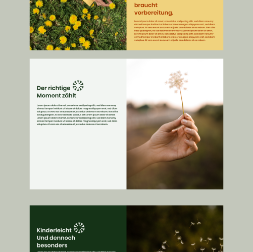 design of DisterDesignStudio