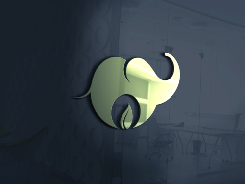 design of xcepto