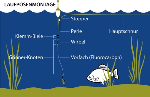 design of walterseiler