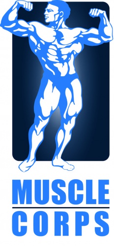 design of kreativMS
