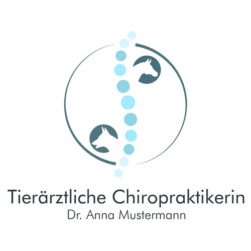 design of Pavomediadesign