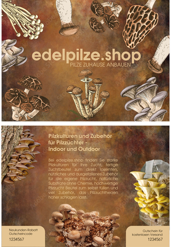  Flyer-Design für Pilzzucht