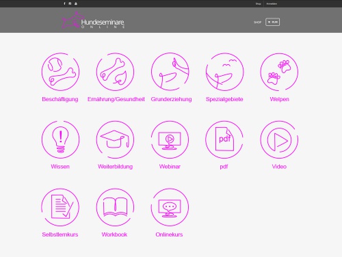 Icon-Design für hundeseminare.online