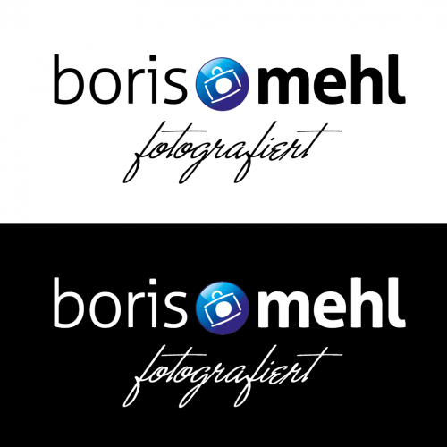 borismehl.de needs a logo
