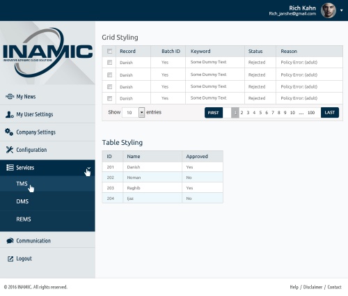 INAMIC B2B portal design