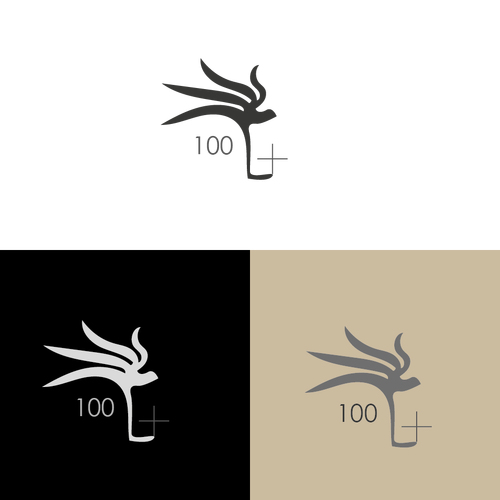 design of CateYe