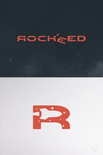 design of duck