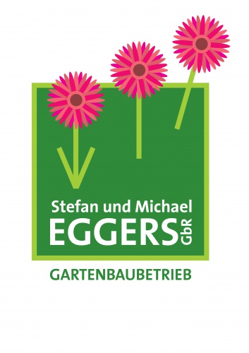 design of zbgrafik